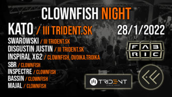 Clownfish night flyer
